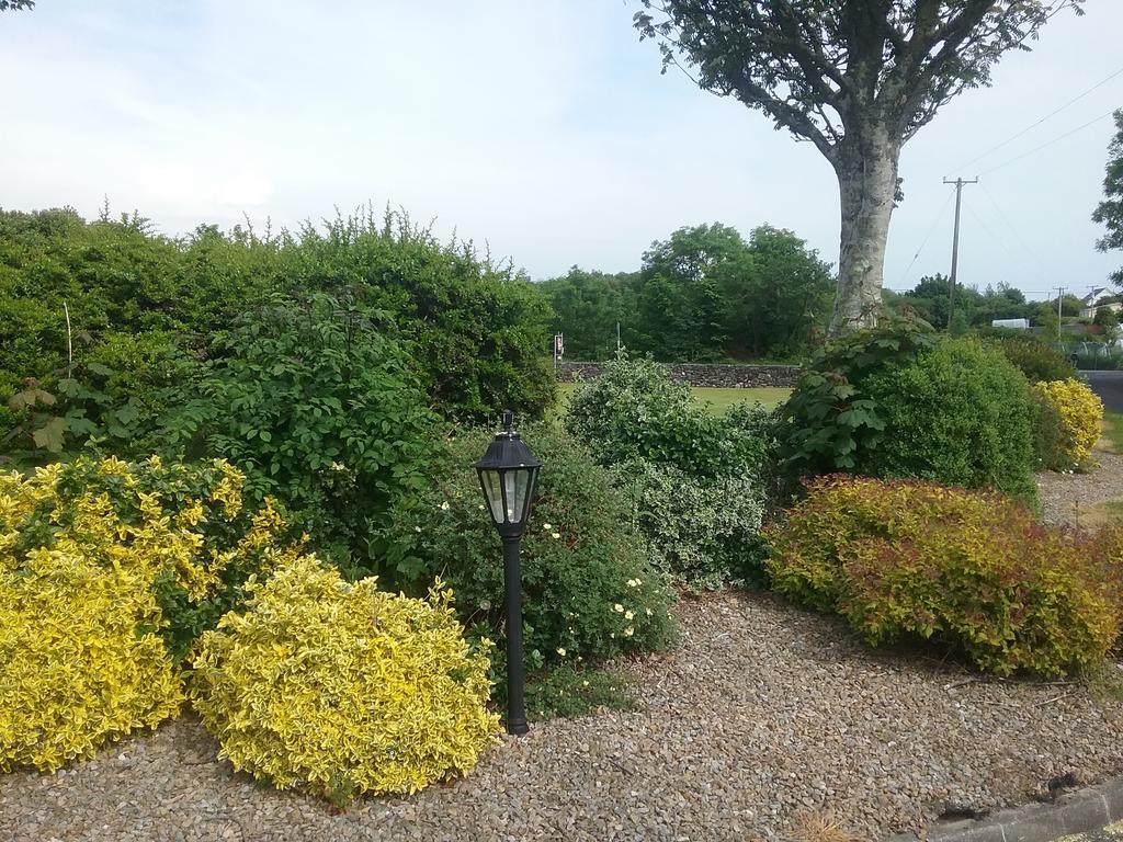 Rocksberry Bed & Breakfast Castlebar Kültér fotó