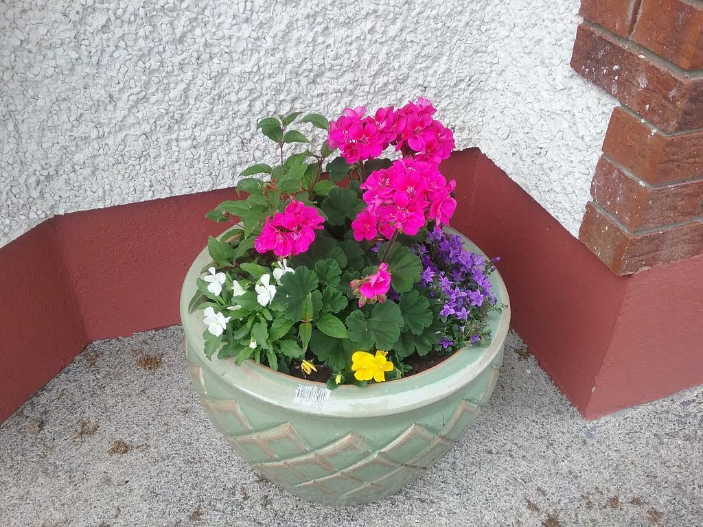 Rocksberry Bed & Breakfast Castlebar Kültér fotó